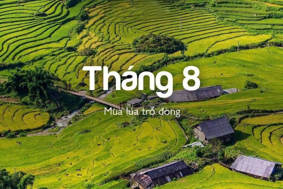 Cuối tháng 8 là thời điểm lý tưởng cho các 