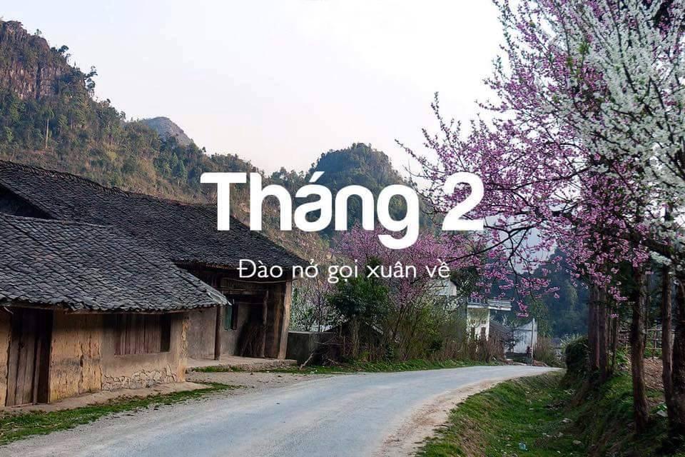 Sắc đào nở rộ là dấu hiện nhận biết dễ dàng nhất của tháng 2 Sapa.