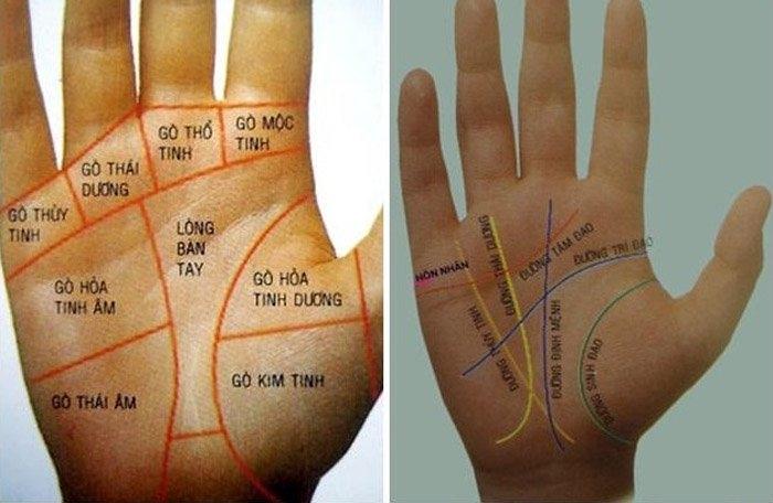 Nhìn bàn tay là biết số KHỔ, phải vất vả BÔN BA!-1