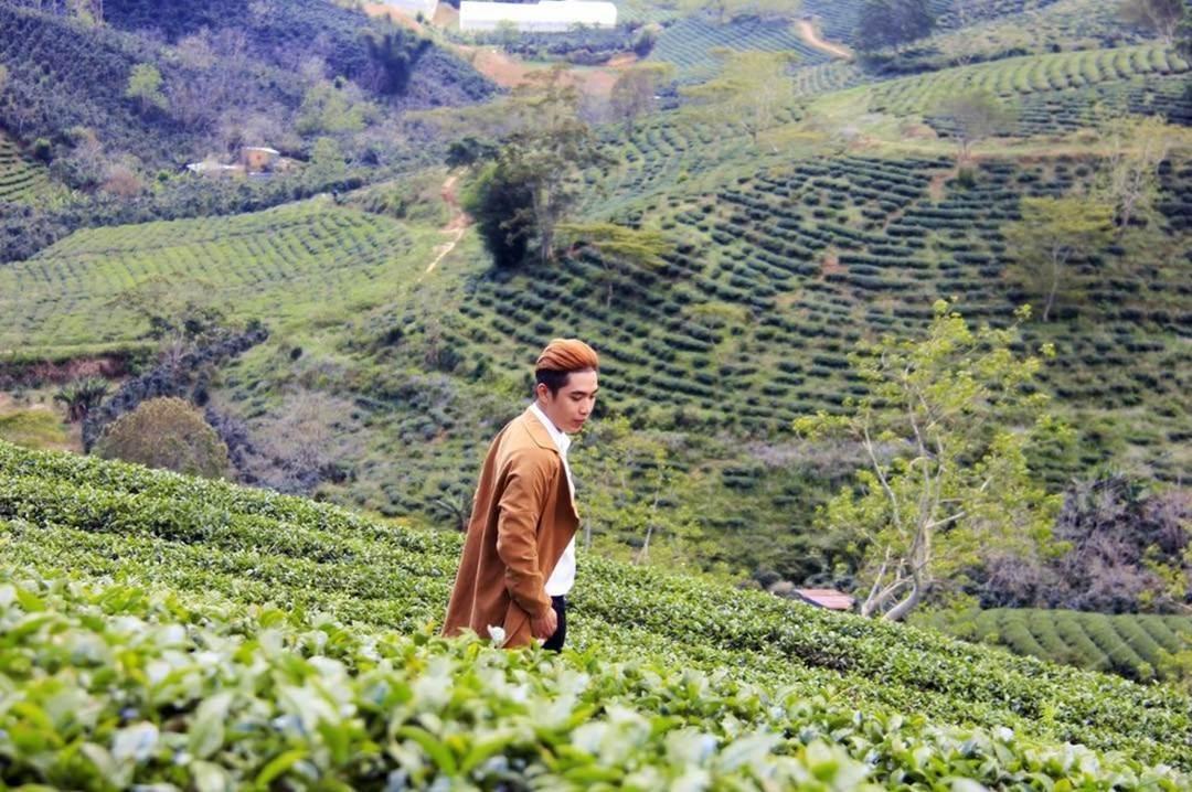 Cách trung tâm thành phố 25 km, đồi chè Cầu Đất hiện là điểm đến yêu thích của nhiều người khi ghé thăm Đà Lạt. Tới đây, du khách sẽ mang về cho mình những bức ảnh lãng mạn giữa đồng chè xanh mướt, giữa lấp lánh nắng vàng hay sương mù bảng lảng. Ảnh: Trịnh Minh Thành.