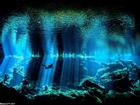 Đại dương kỳ ảo trong loạt ảnh đạt giải nhiếp ảnh dưới nước
