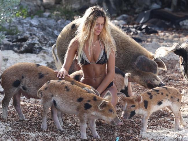 Nu sinh Harvard noi tieng vi chup anh cung dong vat hinh anh 1