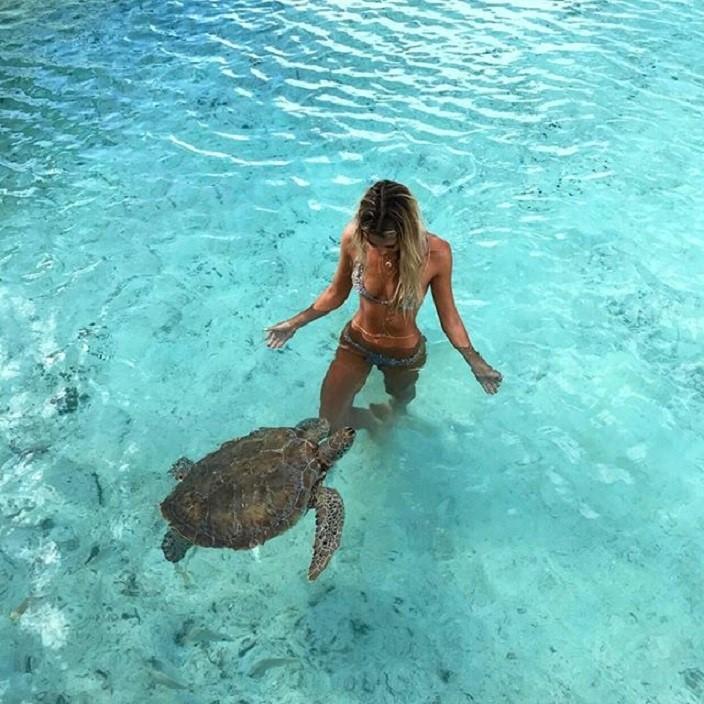 Nu sinh Harvard noi tieng vi chup anh cung dong vat hinh anh 5