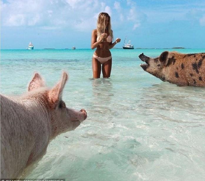 Nu sinh Harvard noi tieng vi chup anh cung dong vat hinh anh 7