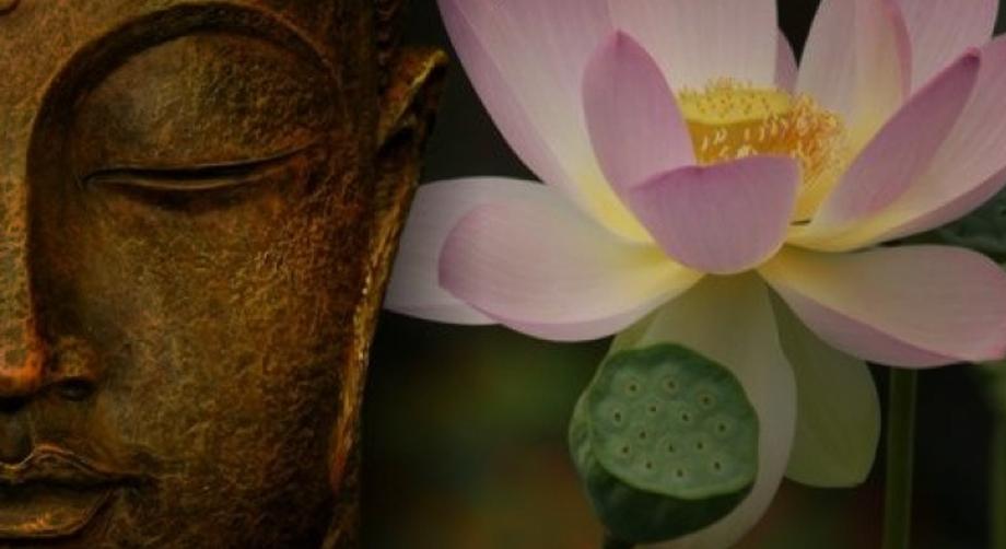 Bai viet danh cho nhung nguoi dang thay cuoc song that be tac va moi met!