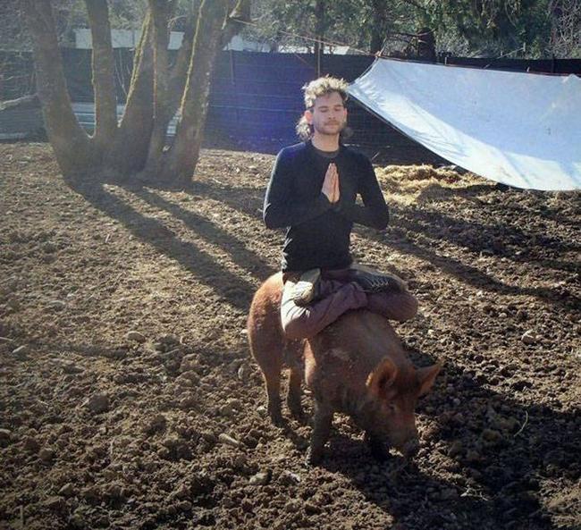 nhung ga dan ong khien cac nang... chay "mat dep" hinh anh 12