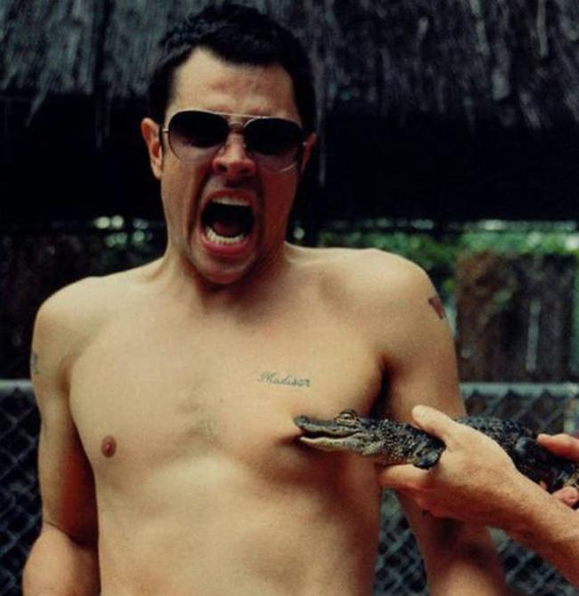 nhung ga dan ong khien cac nang... chay "mat dep" hinh anh 10