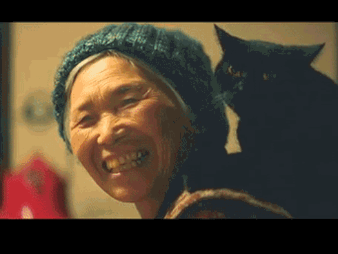 Câu chuyện Nhật cảm động về cụ bà cô đơn và hai chú mèo