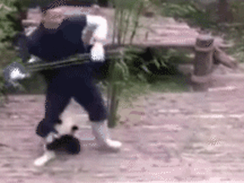 'Lầy nhất quả đất' chú gấu trúc vẫn được khen là đáng yêu