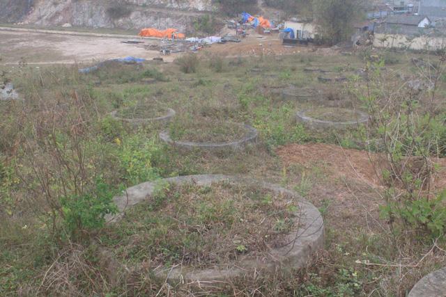 Những ngôi mộ hình tròn được ban quản lý xây lại. Đó là những bộ hài cốt bệnh nhân phong vô danh. Ảnh: H.Phương