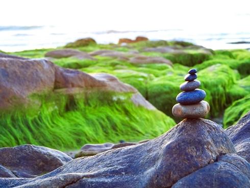 Cắm trại trên bờ biển mùa rêu nhuộm xanh biển Cổ Thạch