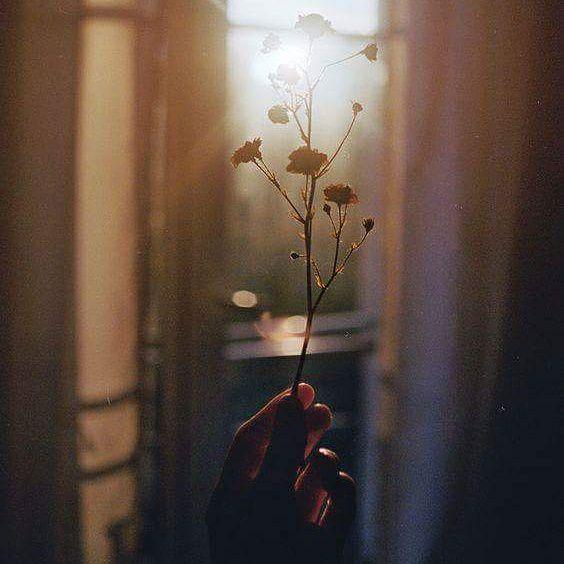 Duyen da can thi co may cung khong giu duoc...