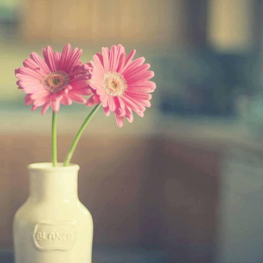 Duyen da can thi co may cung khong giu duoc...