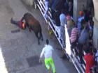 Video: Lễ hội chạy với bò tót hỗn loạn ở Tây Ban Nha