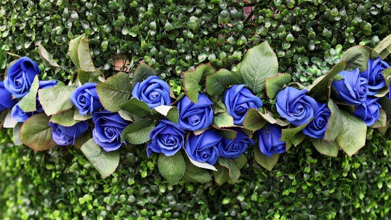 Lễ hội hoa hồng Bulgaria, hoa giả, hoa héo, văn hóa