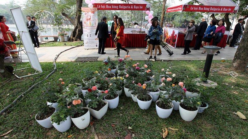 Lễ hội hoa hồng Bulgaria, hoa giả, hoa héo, văn hóa