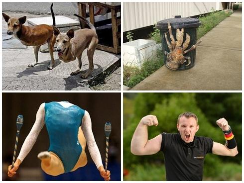 15 khoảnh khắc đời thực 'ảo không tưởng' khiến ai cũng nghĩ là Photoshop