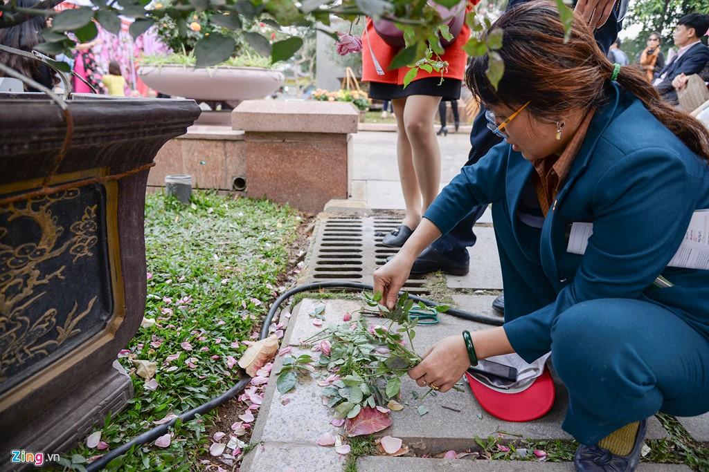 Le hoi hoa hong Bulgaria e khach, ve cho den giam gia hinh anh 9