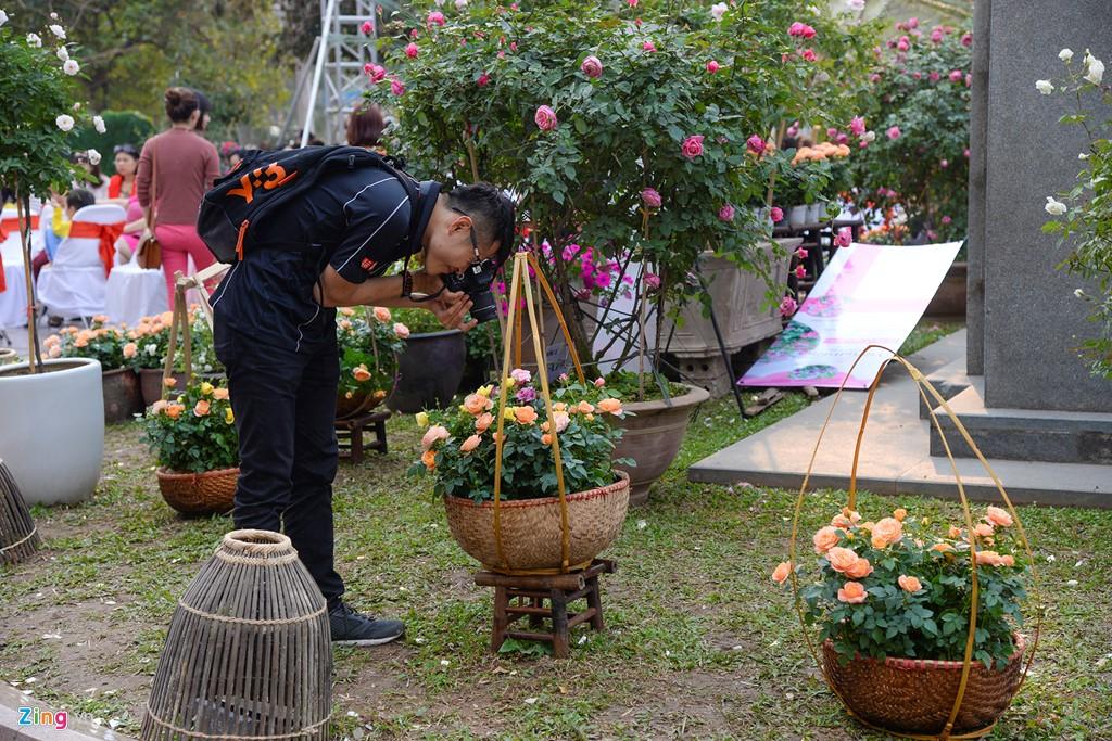 Le hoi hoa hong Bulgaria e khach, ve cho den giam gia hinh anh 10