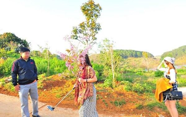 Xac minh vu pho giam doc so tu phap be hoa anh dao hinh anh 1