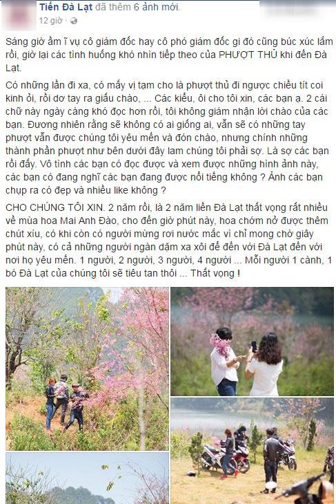 them buc anh du khach be mai anh dao da lat khien dan mang phan no hinh anh 2