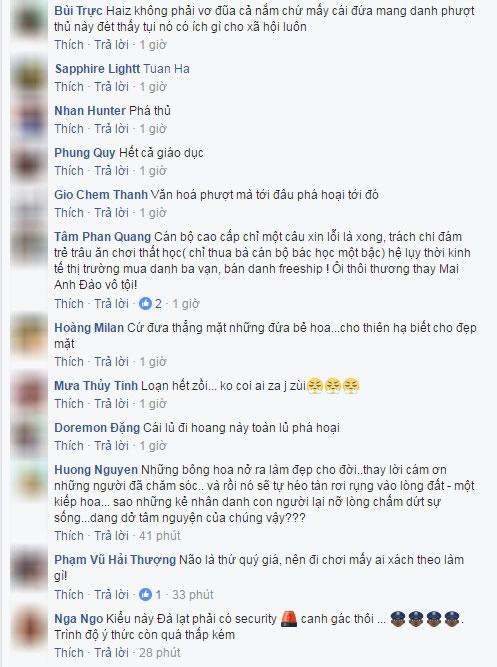 them buc anh du khach be mai anh dao da lat khien dan mang phan no hinh anh 6