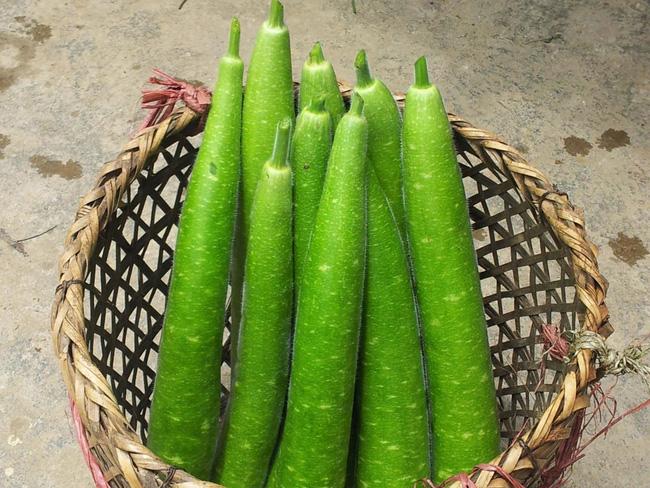 Giảm 4kg trong hơn 1 tháng với thức uống từ loại quả quen thuộc - Ảnh 2.