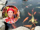 Bất ngờ hồ cá 'độc' của danh hài Hoài Linh được đặt tên 'cá Mr Đàm, cá Dương Triệu Vũ, cá Chí Tài'