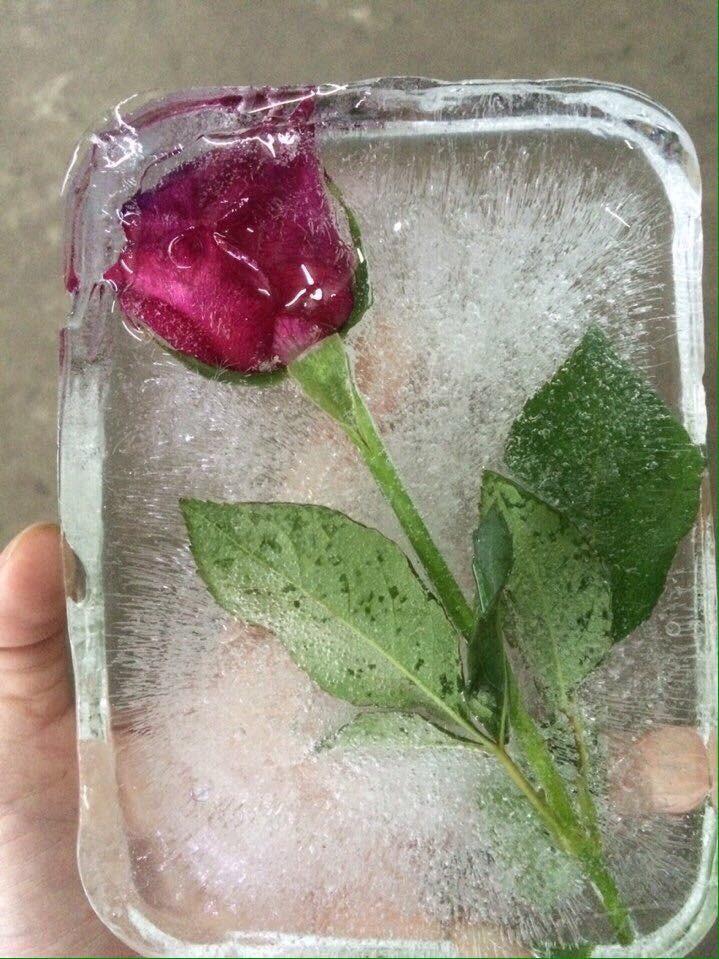 Loạt quà tặng độc đáo được dân mạng chia sẻ hậu 8/3-5