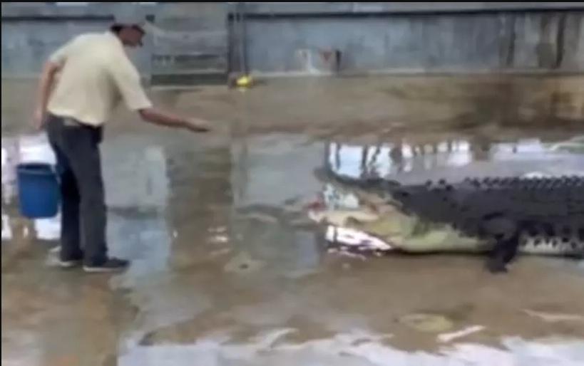 nguoi mat tay, chan vi ca sau ke lai giay phut kinh hoang hinh anh 1