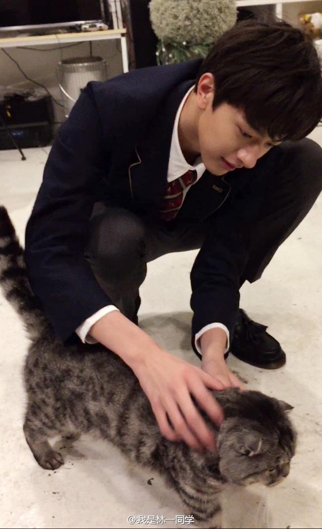 Chỉ mỗi tấm hình chụp lén mà chàng nam thần đã khiến con gái muốn yêu luôn, khỏi nghĩ nhiều! - Ảnh 6.