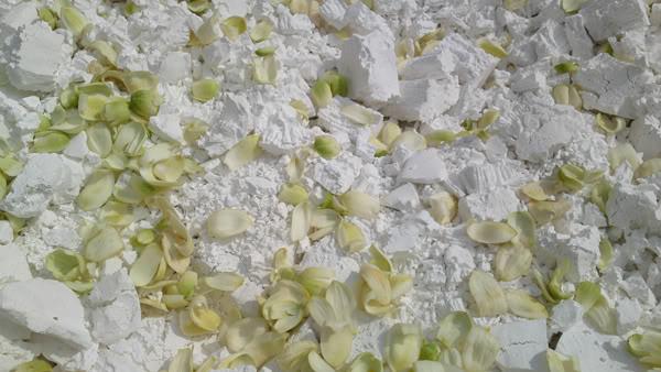 Ướp hoa bưởi vào sắn dây là thói quen nên loại bỏ. Ảnh minh họa.