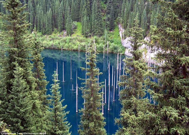 la ky, khu rung an minh duoi ho nuoc xanh nhu ngoc hinh anh 11
