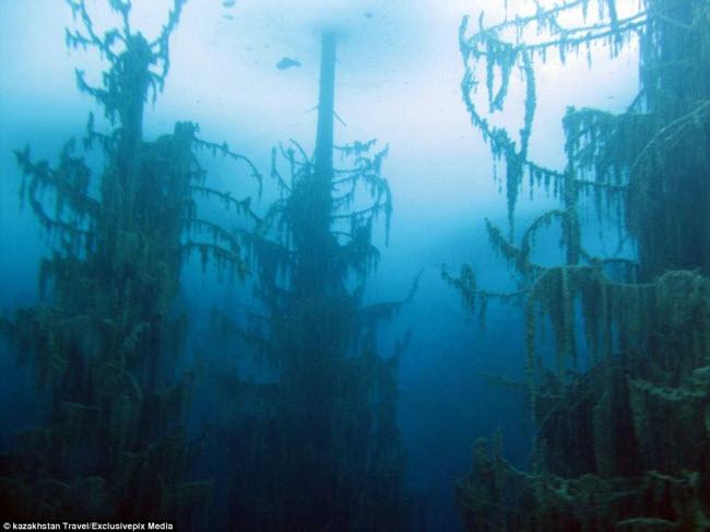 la ky, khu rung an minh duoi ho nuoc xanh nhu ngoc hinh anh 5