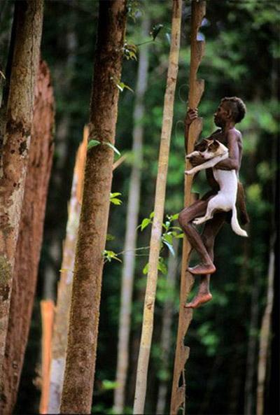 Sống trên những ngôi nhà cây cao tới 50m, bộ lạc bí ẩn khiến nhiều người khâm phục sức sống phi thường - Ảnh 7.
