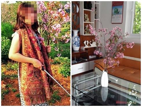 Nữ phó giám đốc Sở Tư pháp bẻ hoa anh đào sẽ công khai xin lỗi