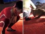 Vụ nam diễn viên xiếc bị cắn rách mặt: Cá sấu gây họa trong đêm diễn được đưa đến 'đóng thế'