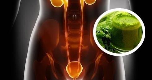 Uong li nay trong 3 ngay, thai sach moi doc to va ca doi khong lo benh than