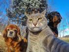 1001 kiểu selfie khó đỡ của các loại động vật