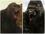 'Kong: Skull Island' và 'King Kong 2005': Khi kẻ đến sau xuất sắc hơn người tiền nhiệm