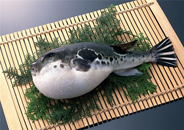 Cá nóc (Fugu): Fugu trong tiếng Nhật là tên gọi cho loài cá nóc có độc, đồng thời là món ăn khiến nhiều người Nhật mê mệt. Thịt cá nóc sẽ được ăn sống kèm với ước chấm làm từ dầu mè, nước tương, wasabi, củ cải muối, giấm ponzu, chanh, ớt và uống cùng rượu sake để át đi vị tanh của cá. Ở Nhật chỉ một số ít nhà hàng được phép phục vụ món này vì đây là loài chứa nhiều chất độc.