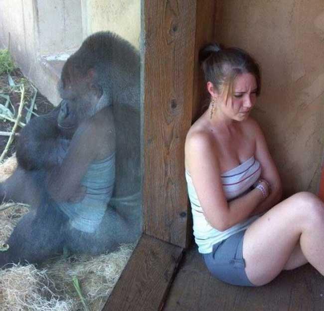 nhung hinh anh that den... buon cuoi hinh anh 1