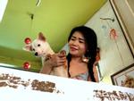 Cô nàng độc thân nuôi 91 con chó ở Sài Gòn: Chồng có thể không có, nhưng chó phải có... một đàn