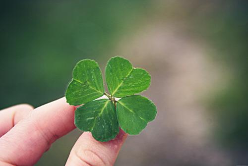 4 con giáp hưởng mãi không hết lộc trong năm Đinh Dậu 2017 - Ảnh 1.