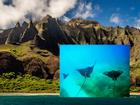 16 bức ảnh khiến bạn muốn bay đến Hawaii ngay lập tức