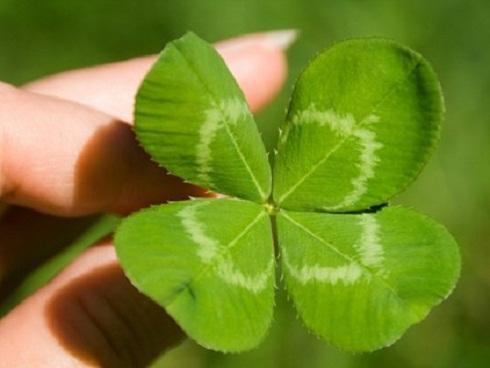 Đừng lo nghèo đói, đến năm 35 tuổi những con giáp này GIÀU CÓ nhất họ!