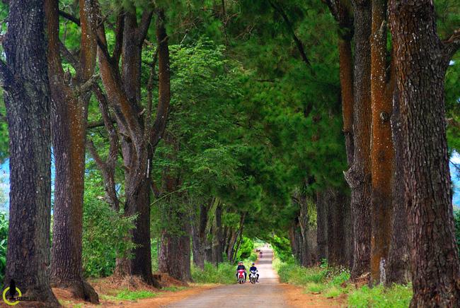 24 giờ ăn đúng nơi, chơi đúng chỗ để thấy Pleiku đẹp tuyệt vời - Ảnh 5.