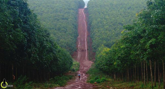 24 giờ ăn đúng nơi, chơi đúng chỗ để thấy Pleiku đẹp tuyệt vời - Ảnh 13.