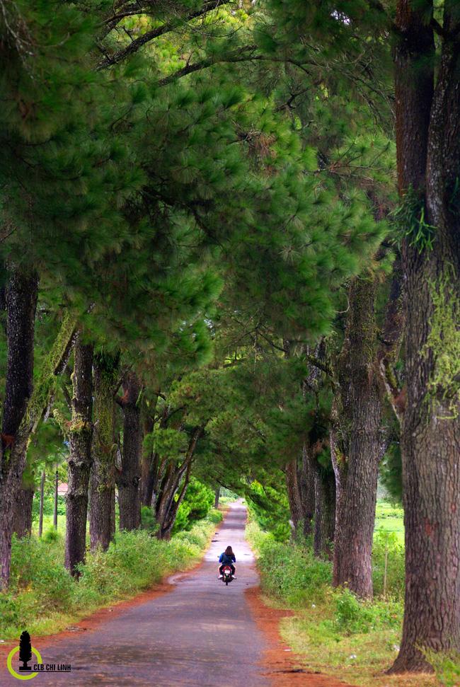 24 giờ ăn đúng nơi, chơi đúng chỗ để thấy Pleiku đẹp tuyệt vời - Ảnh 6.