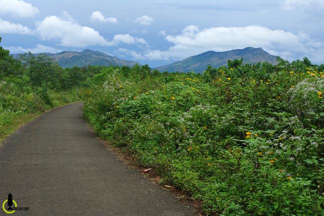 24 giờ ăn đúng nơi, chơi đúng chỗ để thấy Pleiku đẹp tuyệt vời - Ảnh 9.